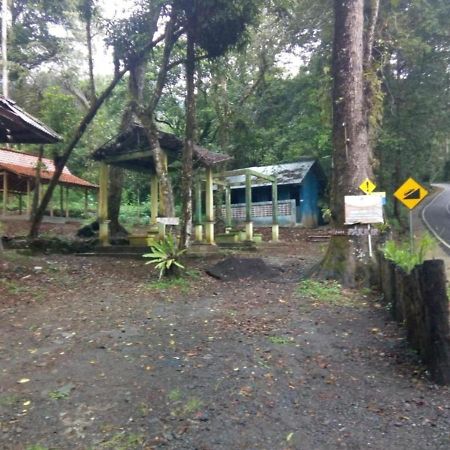 Ijen Mansjestic B&B Tamansuruh Kültér fotó